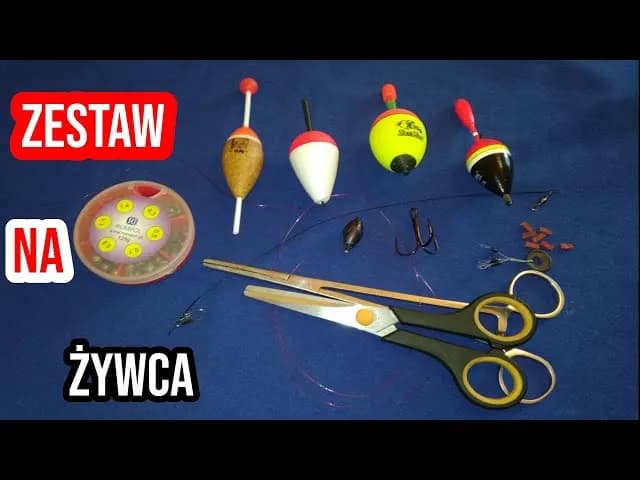 Jak wybrać spławik na żywca, aby zwiększyć swoje szanse na sukces Jak wybrać spławik na żywca, aby zwiększyć swoje szanse na sukces