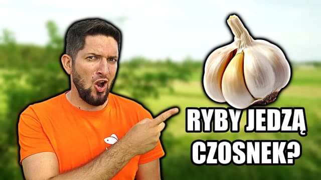 Czosnek na jakie ryby: skuteczne przynęty na karpie i sumy Czosnek na jakie ryby: skuteczne przynęty na karpie i sumy