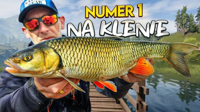 Najlepsze przynęty na klenia spinning - skuteczne metody łowienia Najlepsze przynęty na klenia spinning - skuteczne metody łowienia